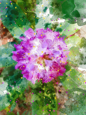 Floral in Bloom I White Modern Wood Framed Art Print with Double Matting by Young, Chamira