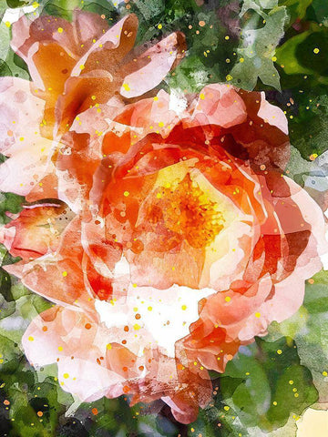 Floral in Bloom III White Modern Wood Framed Art Print with Double Matting by Young, Chamira