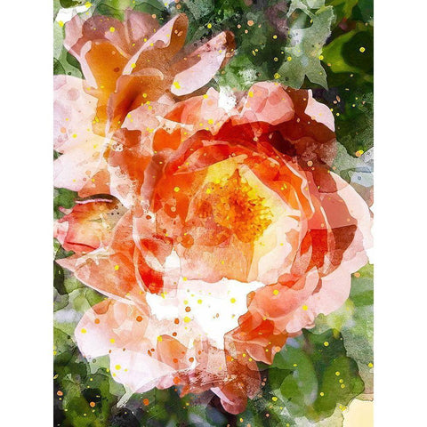 Floral in Bloom III Black Modern Wood Framed Art Print by Young, Chamira