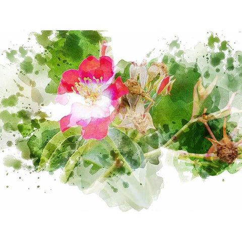 Floral in Bloom XIII Gold Ornate Wood Framed Art Print with Double Matting by Young, Chamira