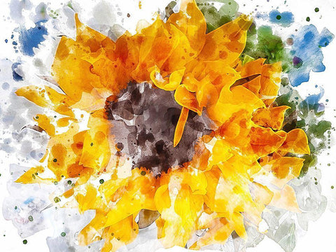 Floral in Bloom XX Black Ornate Wood Framed Art Print with Double Matting by Young, Chamira