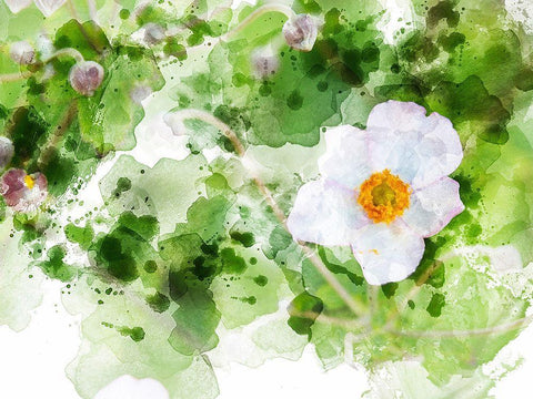 Floral in Bloom XXII White Modern Wood Framed Art Print with Double Matting by Young, Chamira