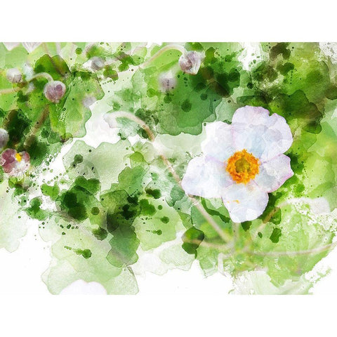 Floral in Bloom XXII White Modern Wood Framed Art Print by Young, Chamira