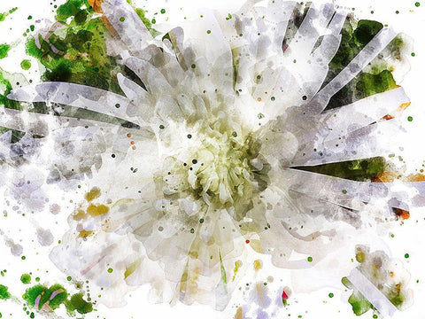 Floral in Bloom XXIII White Modern Wood Framed Art Print with Double Matting by Young, Chamira