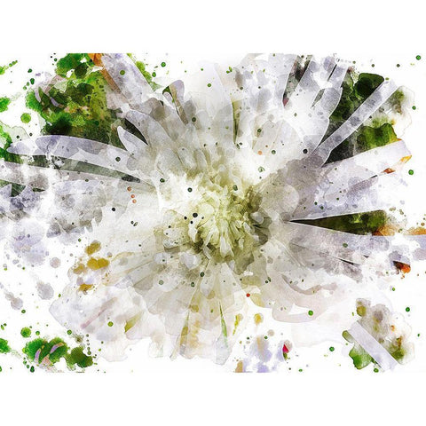 Floral in Bloom XXIII Gold Ornate Wood Framed Art Print with Double Matting by Young, Chamira