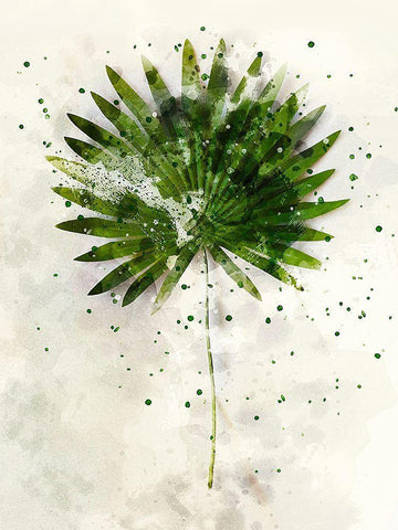 Single Palm White Modern Wood Framed Art Print with Double Matting by Young, Chamira