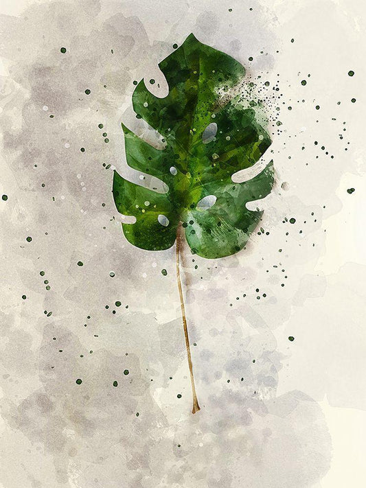 Image Only