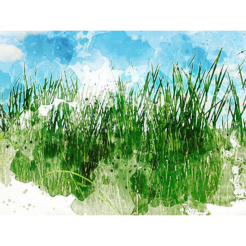 Grassy Bank Black Modern Wood Framed Art Print with Double Matting by Young, Chamira