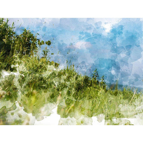 Grassy Meadow White Modern Wood Framed Art Print by Young, Chamira