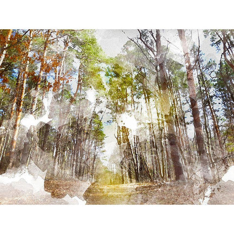 Forest Road I White Modern Wood Framed Art Print by Young, Chamira