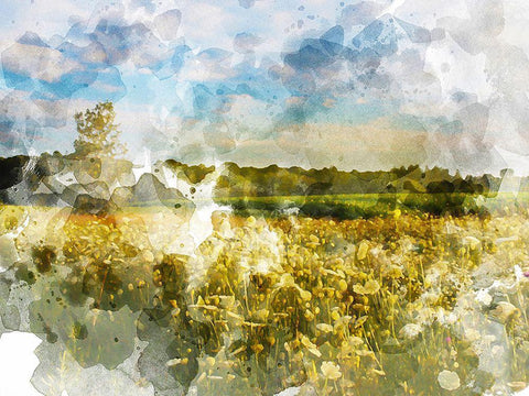 Yellow Meadow Black Ornate Wood Framed Art Print with Double Matting by Young, Chamira