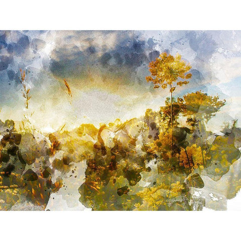 Loud Sky Gold Ornate Wood Framed Art Print with Double Matting by Young, Chamira