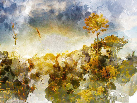 Loud Sky Black Ornate Wood Framed Art Print with Double Matting by Young, Chamira