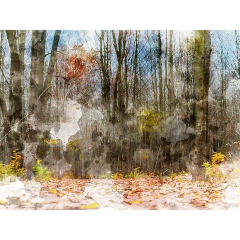 Forest Trees White Modern Wood Framed Art Print by Young, Chamira