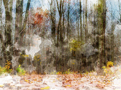 Forest Trees White Modern Wood Framed Art Print with Double Matting by Young, Chamira