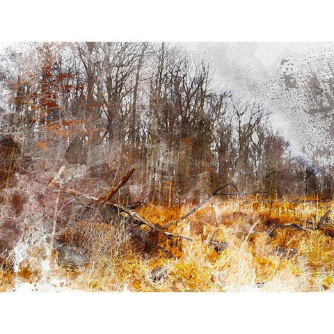 Autumn Forest I Black Modern Wood Framed Art Print by Young, Chamira