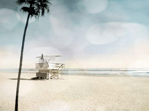 Solitude Black Ornate Wood Framed Art Print with Double Matting by Davis, Devon