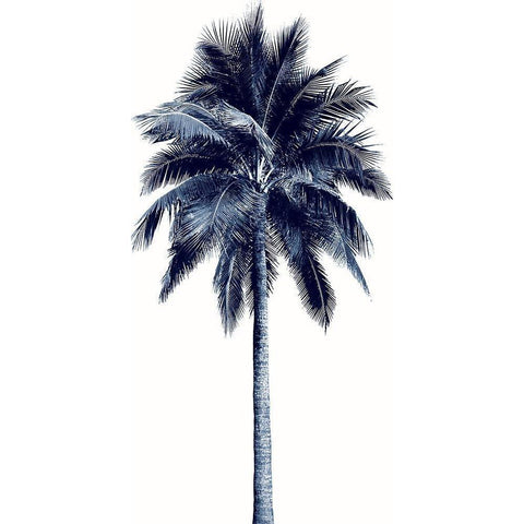 Palm Tree Blue I White Modern Wood Framed Art Print by Blake, Madeline