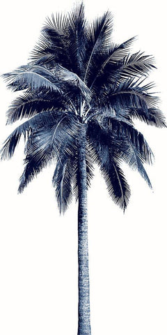 Palm Tree Blue I White Modern Wood Framed Art Print with Double Matting by Blake, Madeline