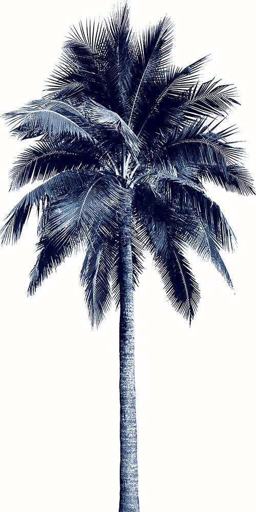 Image Only