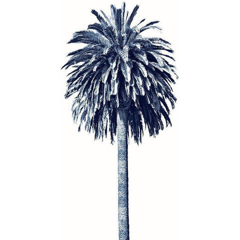 Palm Tree Blue II Black Modern Wood Framed Art Print with Double Matting by Blake, Madeline