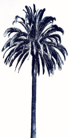 Palm Tree Blue III Black Ornate Wood Framed Art Print with Double Matting by Blake, Madeline