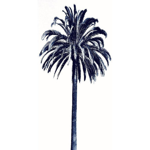 Palm Tree Blue III White Modern Wood Framed Art Print by Blake, Madeline