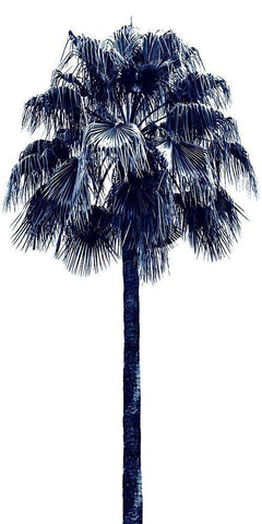 Palm Tree Blue IV White Modern Wood Framed Art Print with Double Matting by Blake, Madeline