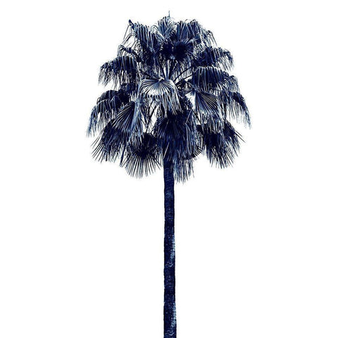 Palm Tree Blue IV White Modern Wood Framed Art Print by Blake, Madeline