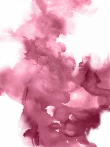 Universal I Black Ornate Wood Framed Art Print with Double Matting by Hudson, Daniela