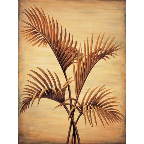 Treasured Palm I White Modern Wood Framed Art Print by Parks, David