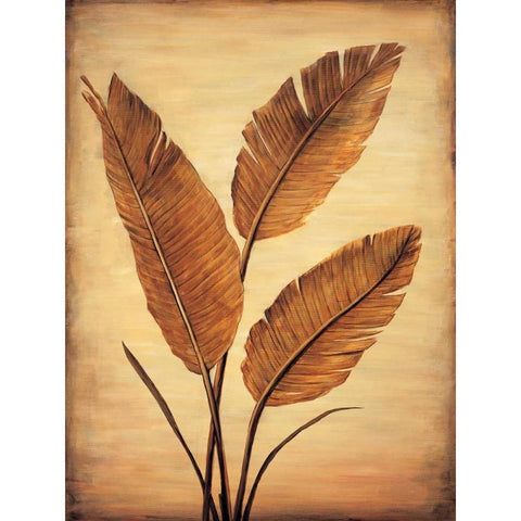 Treasured Palm II White Modern Wood Framed Art Print by Parks, David