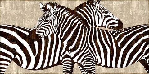 Zebra Gathering White Modern Wood Framed Art Print with Double Matting by Davison, Darren