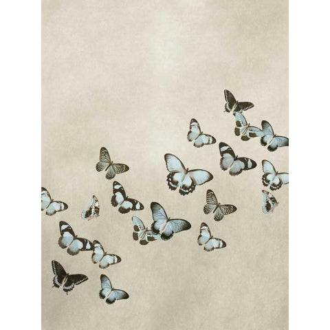 Spring Flight I Black Modern Wood Framed Art Print with Double Matting by Devellier, Deborah