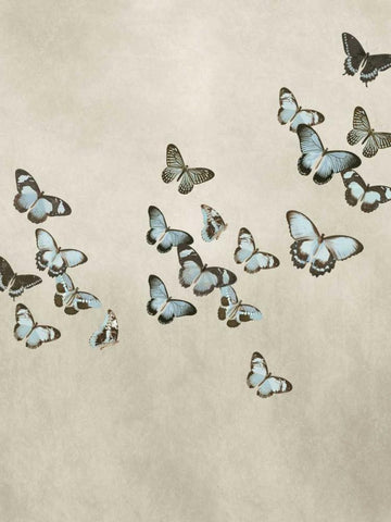 Spring Flight II White Modern Wood Framed Art Print with Double Matting by Devellier, Deborah