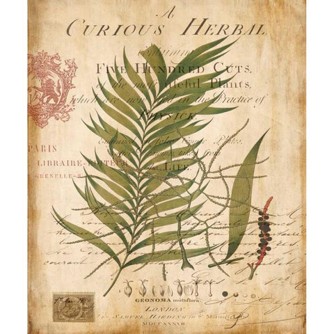 Palm Study I Gold Ornate Wood Framed Art Print with Double Matting by Devellier, Deborah