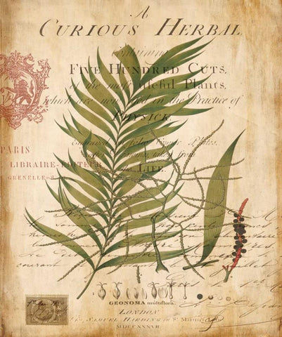 Palm Study I Black Ornate Wood Framed Art Print with Double Matting by Devellier, Deborah