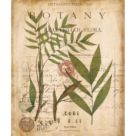 Palm Study II Gold Ornate Wood Framed Art Print with Double Matting by Devellier, Deborah