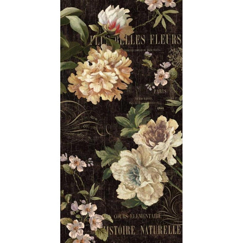 Fleurs Antique II White Modern Wood Framed Art Print by Devellier, Deborah