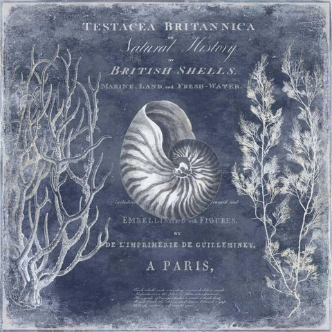 The Deep Blue Sea I Black Ornate Wood Framed Art Print with Double Matting by Devellier, Deborah