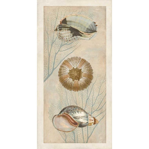 Ocean Companions II Gold Ornate Wood Framed Art Print with Double Matting by Devellier, Deborah