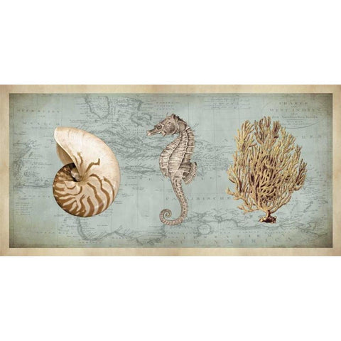 Sea Treasures I Gold Ornate Wood Framed Art Print with Double Matting by Devellier, Deborah