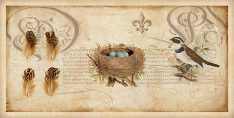 Nesting I White Modern Wood Framed Art Print with Double Matting by Devellier, Deborah