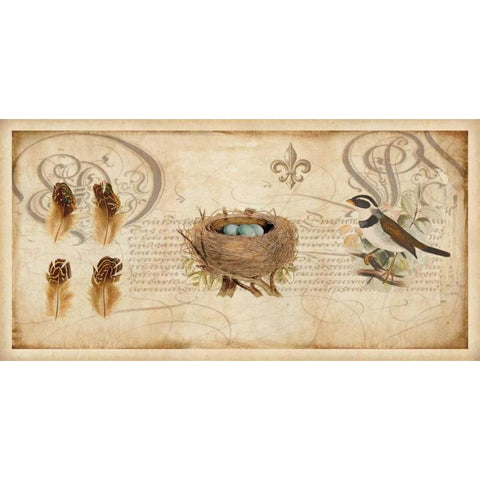 Nesting I Gold Ornate Wood Framed Art Print with Double Matting by Devellier, Deborah