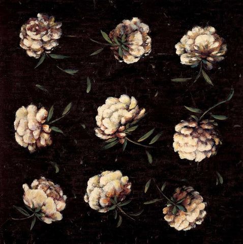 A Study in White Black Ornate Wood Framed Art Print with Double Matting by Harper, Diane