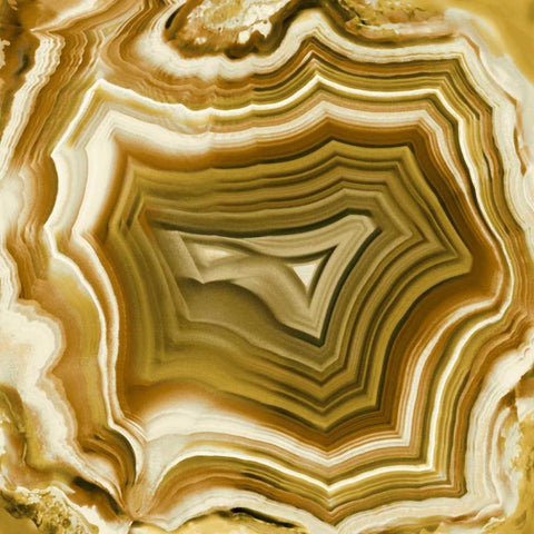 Agate in Amber White Modern Wood Framed Art Print by Carson, Danielle