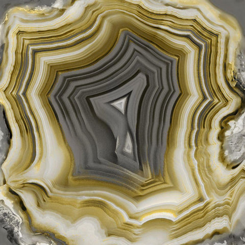 Agate in Gold And Grey II Black Modern Wood Framed Art Print with Double Matting by Carson, Danielle