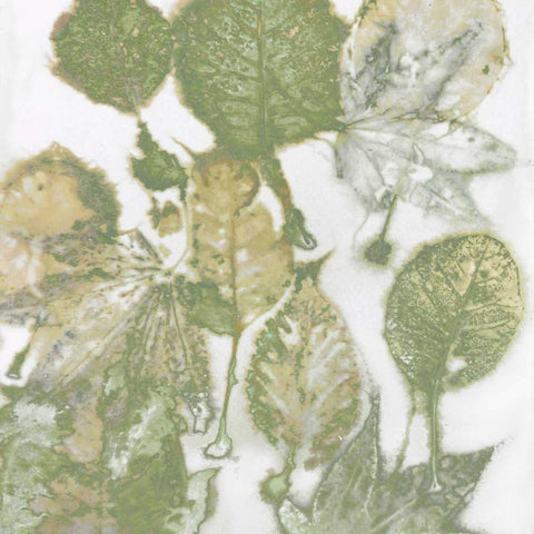 Nature I Black Modern Wood Framed Art Print by Carson, Danielle