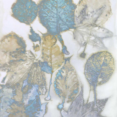 Aqua Nature I Black Modern Wood Framed Art Print with Double Matting by Carson, Danielle