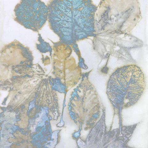 Aqua Nature I Black Ornate Wood Framed Art Print with Double Matting by Carson, Danielle